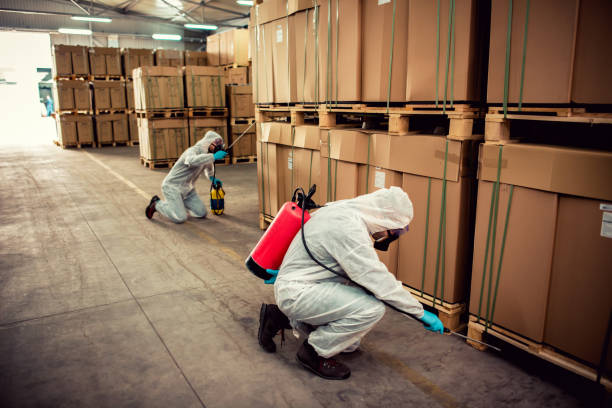 Best Wildlife Control Services  in Thedral City, CA