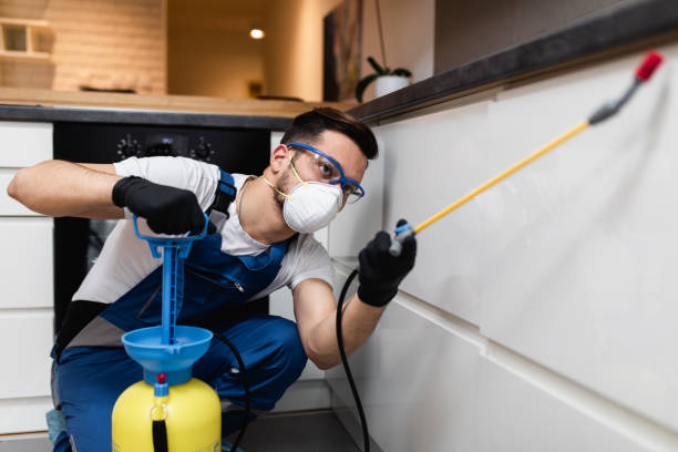 Best Affordable Pest Control Services  in Thedral City, CA