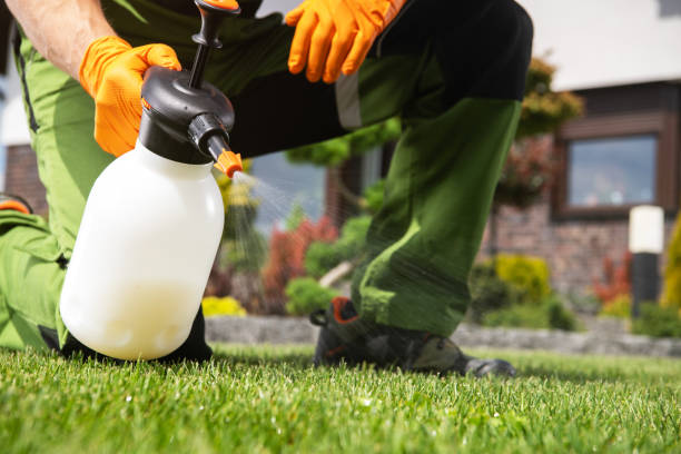 Insect Control in Cathedral City, CA
