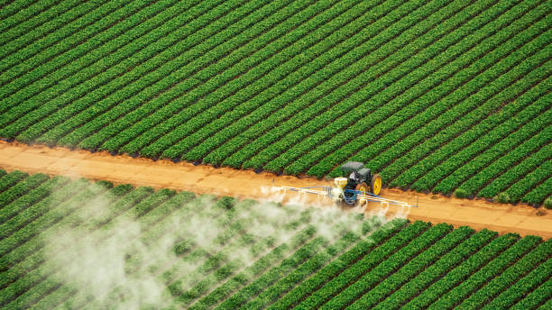 Best Commercial Pest Control Services  in Thedral City, CA